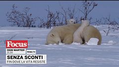 Senza sconti - Fin dove la vita resiste