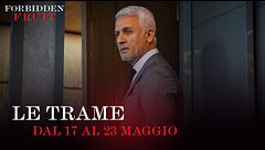 Le trame dal 17 al 23 maggio