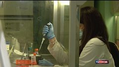 Hantavirus, allo Spallanzani di Roma le analisi del marittimo calabrese