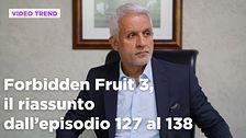 Forbidden Fruit 3, il riassunto degli episodi 127-138
