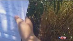 La bimba di Filicudi che ha scritto a Meloni: "Non voglio lasciare la mia isola per studiare"