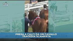 Presa a calci da un cavallo, tragedia evitata