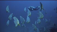 Profondo Maldive