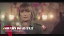 Harry Wild - La signora del delitto