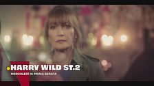 Harry Wild - La signora del delitto