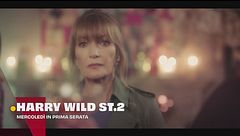 Harry Wild - La signora del delitto