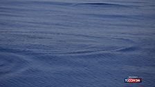 L'oceano, un ecosistema da "guarire"