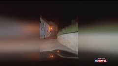 Orso inseguito in auto in Valtellina, gli esperti del Parco dello Stelvio: "È pericoloso"