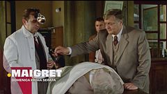 Maigret e la vendita all'asta