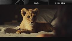 King - Un cucciolo da salvare