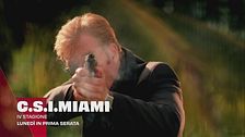 C.S.I. Miami