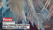 Hollywood racconta, ma cosa c'è di vero?