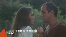 Il bisbetico domato