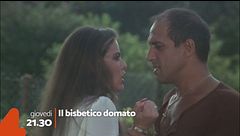 Il bisbetico domato
