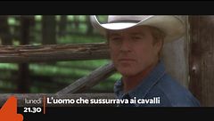 L'uomo che sussurrava ai cavalli