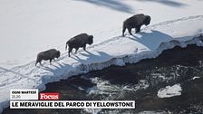 Le meraviglie del parco di Yellowstone