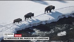 Le meraviglie del parco di Yellowstone