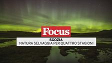 Scozia Natura selvaggia per quattro stagioni