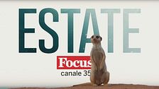Focus estate