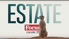 Focus estate