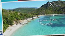 Cartoline di stile da Porquerolles
