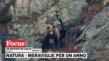 Natura - Meraviglie per un anno