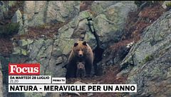 Natura - Meraviglie per un anno