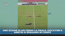 Giocatori e arbitri per terra: il motivo è surreale
