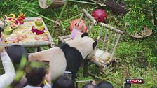 I festeggiamenti del dodicesimo compleanno di Mao Zhu, un panda gigante