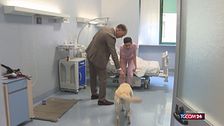 Torino, svolto il primo trapianto al mondo da occhio a occhio: donna cieca recupera la vista