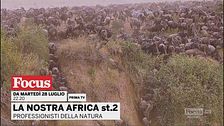 La nostra Africa
