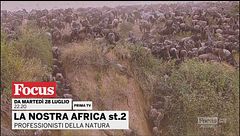 La nostra Africa