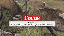 Scozia: Natura selvaggia per quattro stagioni