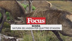 Scozia: Natura selvaggia per quattro stagioni