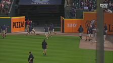 Altro che baseball: Tigres e Orioles fanno partire la caccia allo scoiattolo!