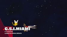 C.S.I. Miami