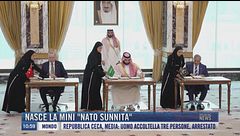 Breaking News delle 11.00 | Nasce la mini "Nato sunnita"