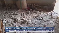 Breaking News delle 17.00 | Indonesia, terremoto fa almeno 38 vittime