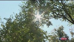 Il caldo spezza uno dei riti di Ferragosto: "no" alla tradizionale grigliata in Lombardia