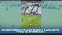 Invasione allo Stadium, intervento killer di un tifoso su Gatti