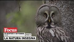La natura insegna!