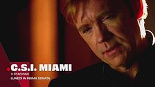 C.S.I. Miami