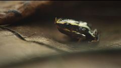 Cuba: meraviglie della natura