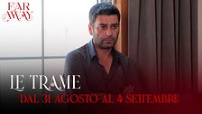 Le trame dal 31 agosto al 4 settembre