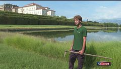 Torino, dalla bocciatura a scuola ai giardini reali: la storia di Mattia