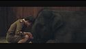 Zoo - Un amico da salvare