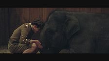 Zoo - Un amico da salvare