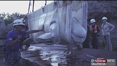 Chiude un parco marino in Canada: delfini e beluga salvati dall'acquario di Valencia
