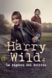 Harry Wild - La signora del delitto 4: mercoledì 2 settembre, in prima serata su TopCrime