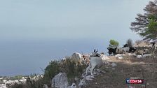 Anacapri e le caprette della discordia